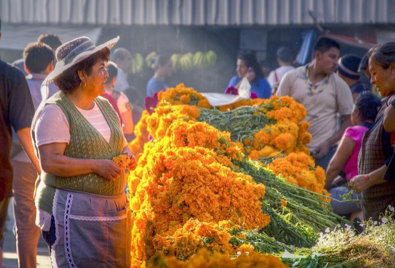 Mercado de Jamaica