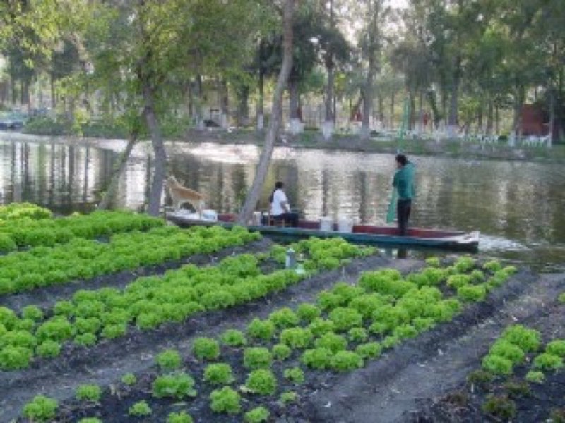 Xochimilco the quiet way, and Arca Tierra
